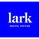 Lark Medical Staffing