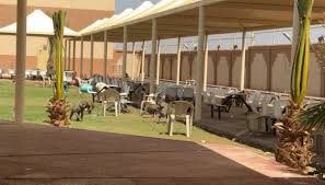تأسست جامعة الزرقاء عام 1994م، في موقع استراتيجي، شرقي مدينة الزرقاء، وعلى بُعد ستة كيلو مترات منها، بوصفها أول جامعة خاصة في محافظة الزرقاء، بمساحة وصلت إلى ثلاثمئة. Ø·Ø§Ù„Ø¨Ø§Øª Ø¨Ù€ Ø¬Ø§Ù…Ø¹Ø© Ø¨ÙŠØ´Ø© Ù„Ù€ ØªÙˆØ§ØµÙ„ Ø§Ù„Ù‚Ø±ÙˆØ¯ ØªØ¬Ù„Ø³ Ø¹Ù„Ù‰ Ø§Ù„ÙƒØ§ÙØªÙŠØ±ÙŠØ§ Ø¨Ø¯Ù„Ø§ Ù… Ù† Ø§ ØµÙˆØ± ØµØ­ÙŠÙØ© ØªÙˆØ§ØµÙ„ Ø§Ù„Ø§Ù„ÙƒØªØ±ÙˆÙ†ÙŠØ©