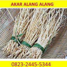 Hp Wa 0823 2445 5344 Harga Jual Produsen Akar Alang Alang Di Surabaya Kuantan Trenggalek Tengah