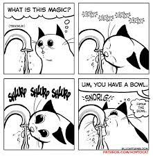 11 Comics For Cat Owners Cat Comics How To Cat Funny Cats