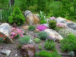 Jardin De Rocaille 70 Idees A Copier Pour Creer Une Rocaille Moderne Jardins Pierres Jardin