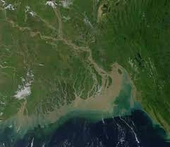 Our apps are nice too! Ganges Delta Wikipedia