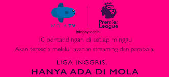 Tv yang menyiarkan portugal vs france bisskey : Info Pay Tv Informasi Tv Berlangganan