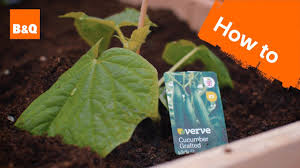 If you want to heat your garden quickly an electric heater could be the one for you as they are easy to turn on and off, and typically. B Q