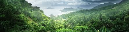 Over power development sdn bhd. Our Rainforest Rural Asset