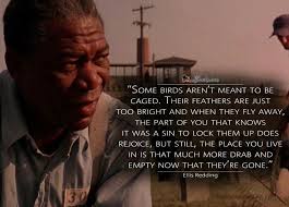 Pin By Jerry Piotrowski On Movie Posters Stills Redemption Quotes Shawshank Redemption Quotes Best Movie Quotes