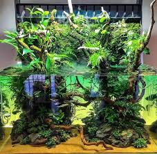 Pin By Alex Kalausich On Palyudarium Vivarium Terrarium Aquarium Landscape Aquarium Aquarium Design