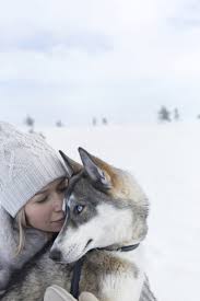 Your pet can enter india in the cabin, as checked baggage (accompanied cats or dogs) at new delhi, mumbai, bangalore, chennai, hyderabad or. Pets On Finnair Flights Finnair Germany