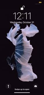 The great collection of hd gif wallpapers for desktop, laptop and mobiles. 4k Gif Wallpaper For Mobile