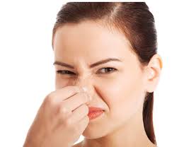 How do you get the musty smell out of a wicker basket