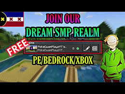 El dream smp (a veces abreviado como el dsmp) es un servidor de minecraft privado,. Dream Smp Realm Code 10 2021