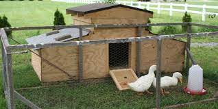 Plus, if you aren't a crafty person, this duck house can be purchased as well. 10 Duck House Plans You Can Build This Weekend The Poultry Guide Duck House Plans Duck Pens Duck House