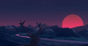 19 1440p Anime Wallpapers 2560x1440 Deer Staring At Sunset Anime 1440p Resolution Download 1440p A Yeni Baslayanlar Resim Hayvan Duvar Kagidi Gunbatimlari