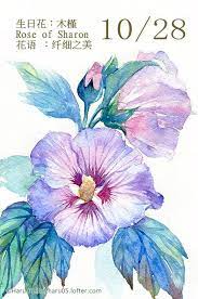 每日一花10 2 haru hello flower drawing floral watercolor flower painting