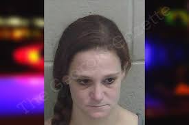 Amy Landon — Wayne County Jail Bookings