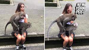 Mulher faz sexo com.macaco