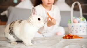 Giant easter bunny as a riding toy? How To Be The Best Easter Bunny Ever Ellaslist