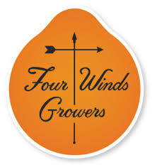 Maurino Olive Tree For Sale Multiple Varieties Four Winds Growers In 2020 Citrus Trees Fruit Trees For Sale Dwarf Lemon Tree