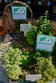 Maybe you would like to learn more about one of these? Rain Gardens Garden Spot Nursery