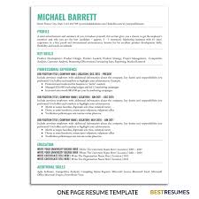 Business Plan Template Discover Resume Template Google Docs Google Doc Resume Template In 2020 Simple Resume Template One Page Resume Template Business Plan Template