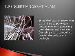 Misalnya materi mengenai berbagai macam budidaya tanaman dan sayuran hingga mempelajari kerajinan tekstil. Membuat Power Point Tentang Kerajinan Serat Alam Dan Buatan Nama Aulia Febriani Kelas Vii Ppt Download
