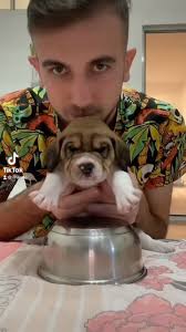 Iliyan Ivanov (@rihan4o1) • Instagram photos and videos