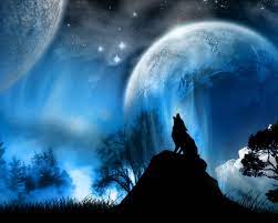 We did not find results for: Free Download 3d Wolf Laptop Wallpaper Here You Can See 3d Wolf Laptop Wallpaper 1280x1024 For Your Desktop Mobile Tablet Explore 48 Wolf Wallpaper For Computers Live Wolf Wallpaper