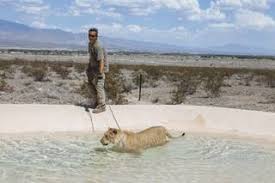 We carry an extensive selection of fish, lizards, snakes, aquatic turtles, tortoises, rodents, feeders (live and all deposits are non refundadable! Nevada S Patchwork Rules Leave Door Open To Exotic Pets Las Vegas Sun Newspaper