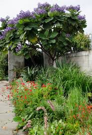 A Spring Morning Visit To Annies Garden Design Desert Gardening Landscaping Hampton Garden