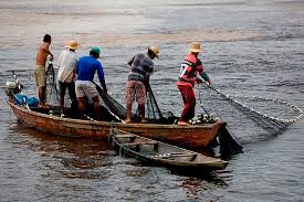 O território dos pescadores é além da terra. É a área de | Política