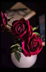 Leti S Beautiful Rose Flowers Love Rose Flower Rose Flower Wallpaper