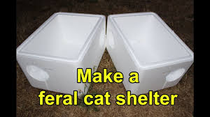 Outdoor cat shelter made by john medaglia. Make An Extra Large Feral Cat Shelter From Styrofoam Coolers Youtube