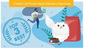 One way to ensure your c. Best Fresh Cat Food Meal Delivery Service All About Cats