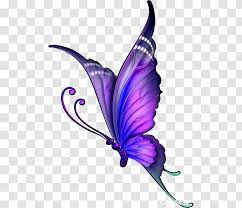 Check spelling or type a new query. Butterfly Drawing Clip Art Image Color Flower Purple Roses And Butterflies Transparent Png