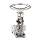 Angle Type Globe Valves | Trillium Flow Technologies™