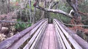 A canoe/kayak launch is available at parking lot #4. Suspension Bridge At Hillsborough River State Park Youtube
