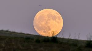 Storm Salena Heats Up PlayboyPlus - Exclusive Adult Content for Discerning Fans