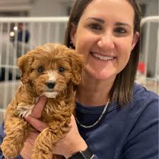 Last thing I wanted was to be woken up