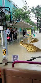 I believe that singaporeans expect and deserve better flood protection. Flood Flood Twitter