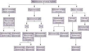 Image result for Dronedarone