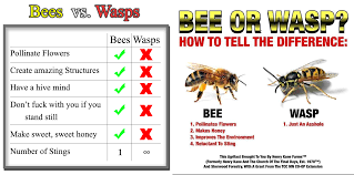 Please Stop Sharing The Wasps Are Jerks Memes Ask An