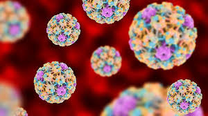 8 Things You May Not Know About Hpv Everyday Health