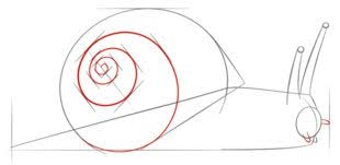 Schnecke Zeichnen Lernen Schritt Fur Schritt Tutorial Zeichnen Leicht Gemacht