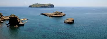Maybe you would like to learn more about one of these? Report Ventotene Tra Cielo E Mare Ottobre 2020 K Nature