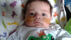 Erika Knuth (@KnuthErika)