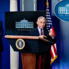 Fauci has demanded that the entire nation remain locked down until every last infection is snuffed out. After Threats Anthony Fauci To Receive Enhanced Personal Security The New York Times