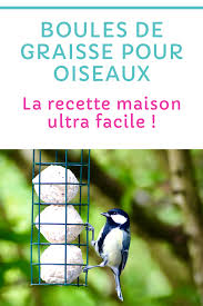 Fabriquer Des Boules De Graisse Pour Oiseaux Oiseaux Graisse Nourriture Oiseaux