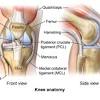 One or more ligaments provide stability to a joint during rest and movement. Https Encrypted Tbn0 Gstatic Com Images Q Tbn And9gcquqf6fcswd3nzlce2xpiai5yjxxes5qvtzyeum1ekreb7ywzar Usqp Cau