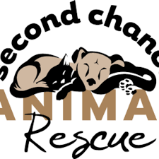 Learn more about second chance pet adoption league in oak ridge, nj, and search the available pets they have up for adoption on petfinder. Cy4smb7glujikm