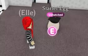 Is there a lift in the block of flats? 3 Ways To Play Adopt Me On Roblox Wikihow